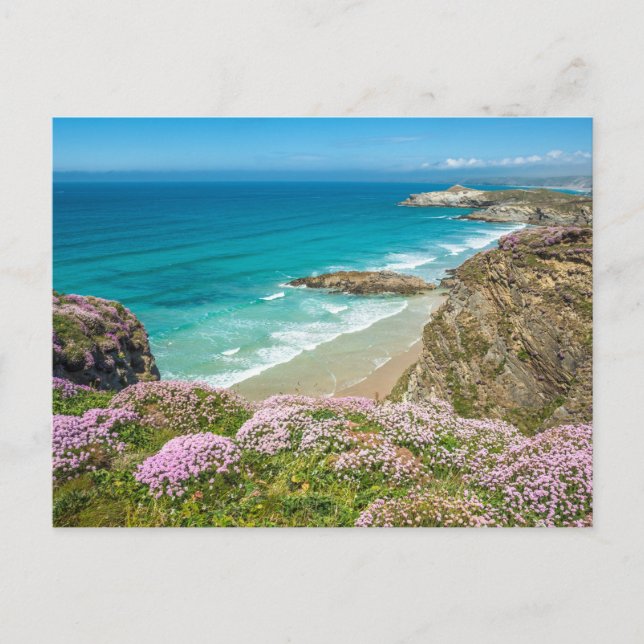 Newquay beach in North Cornwall wild flowers cliff Postcard (Front)