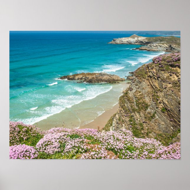 Newquay beach in North Cornwall wild flowers cliff Poster (Front)