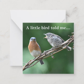 News Notecard