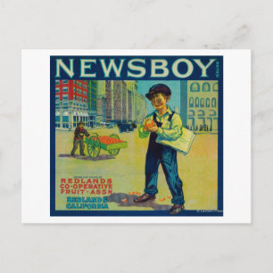 Newsboy Orange LabelRedlands, CA Postcard