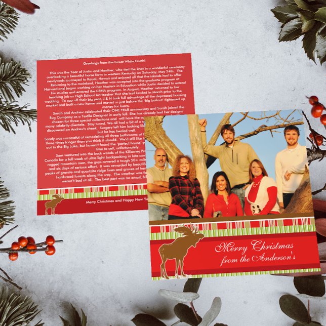 Newsletter on Back Moose Christmas Card (Creator Uploaded)