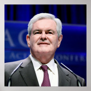 Newt Gingrich Poster