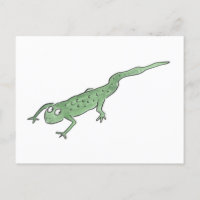 Newt