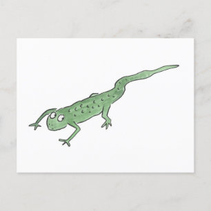 Newt Postcard