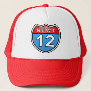 Newt Road to the White House 2012 Trucker Hat