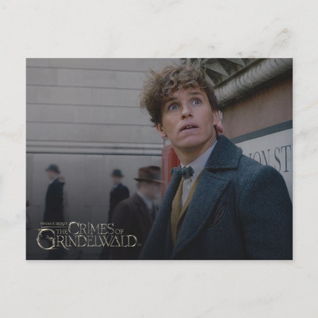 NEWT SCAMANDER™ In London Photo Postcard (Front)