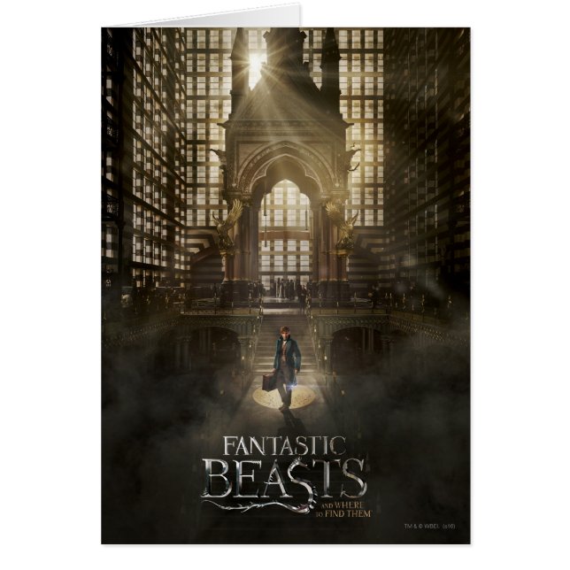 NEWT SCAMANDER™ in MACUSA™ Headquarters (Front)