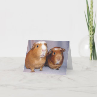 Newton and Skeeter Notecard