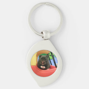 Newton Goes For a Drive Keychain