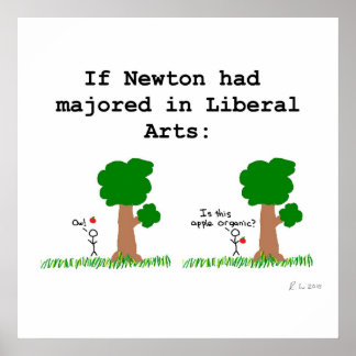 Newton Poster