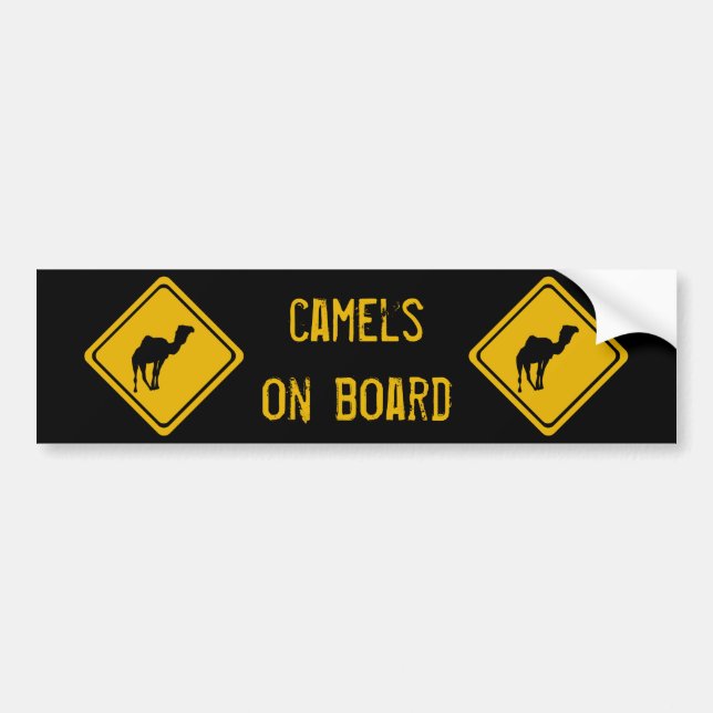 next 10 km camels bumper sticker (Front)
