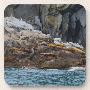 Next In Line Coaster