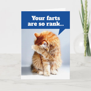 Nez De Chat Dû À La Carte D'Anniversaire Des Pieds