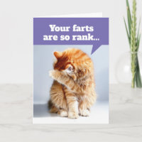 Nez De Chat Dû À La Carte D'Anniversaire Des Pieds