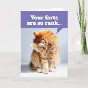 Nez De Chat Dû À La Carte D'Anniversaire Des Pieds