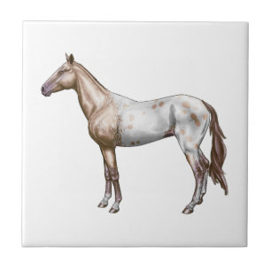 Nez Perce Horse Tile