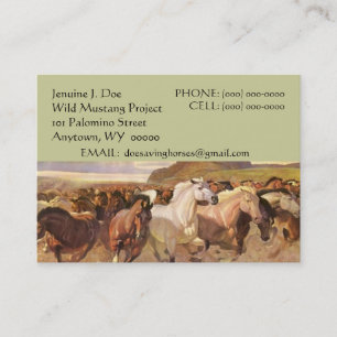 NFP WILD MUSTANG HORSES CONTACT BUSINESS CARD