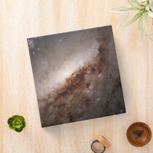 Ngc 4258 Undergoing Intense Star Formation. Binder