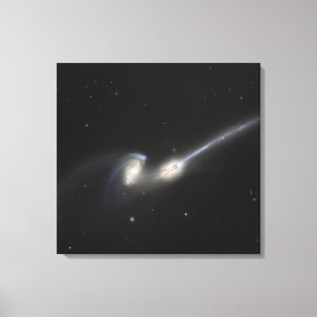 NGC 4676, also known as the Mice Galaxies Canvas Print (Front)