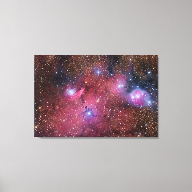 NGC 6559 Nebula in Sagittarius Canvas Print (Front)