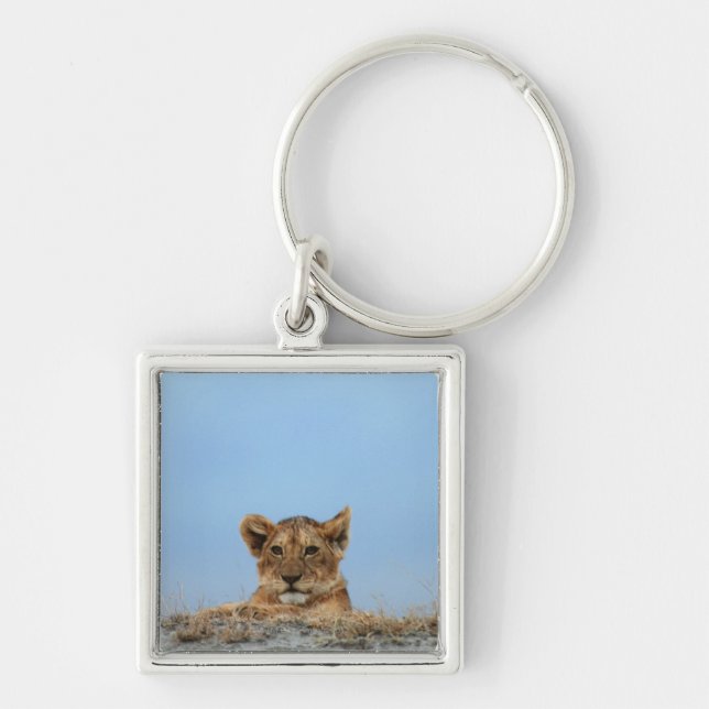 Ngorongoro Crater, Tanzania Keychain (Front)