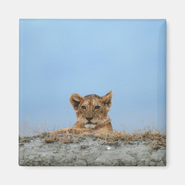 Ngorongoro Crater, Tanzania Magnet (Front)