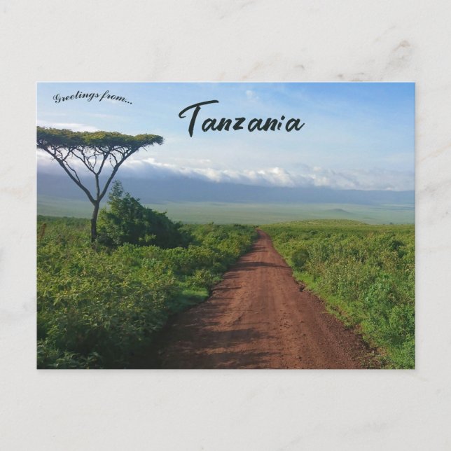 Ngorongoro Crater Tanzania Postcard (Front)