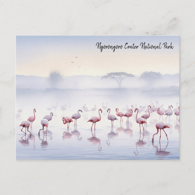 Ngorongoro Tanzania Flamingos Postcard (Front)