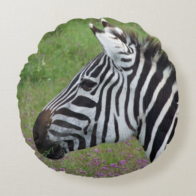Ngorongoro Zebra Close-Up Round Pillow (Front)