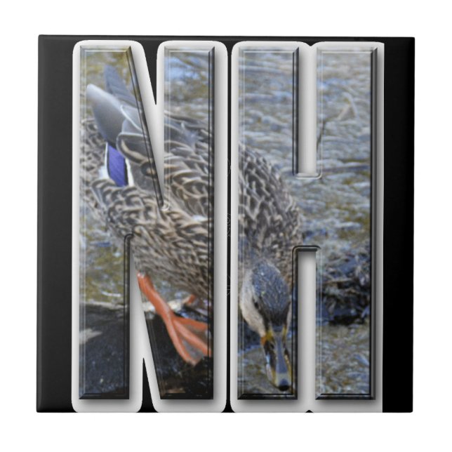 NH NEW HAMPSHIRE TILE (Front)