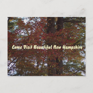 NH postcard