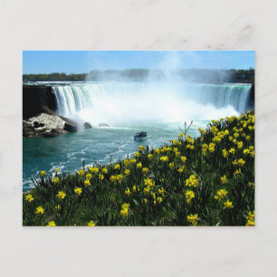 Niagara Falls Postcard