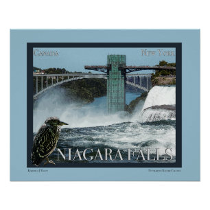 Niagara Falls Poster