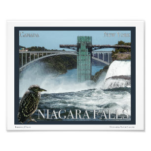 Niagara Falls Poster