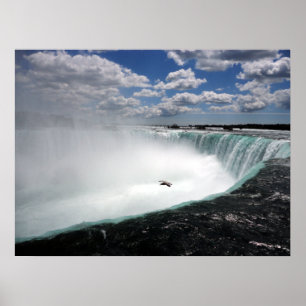 Niagara Falls with Seagull Poster