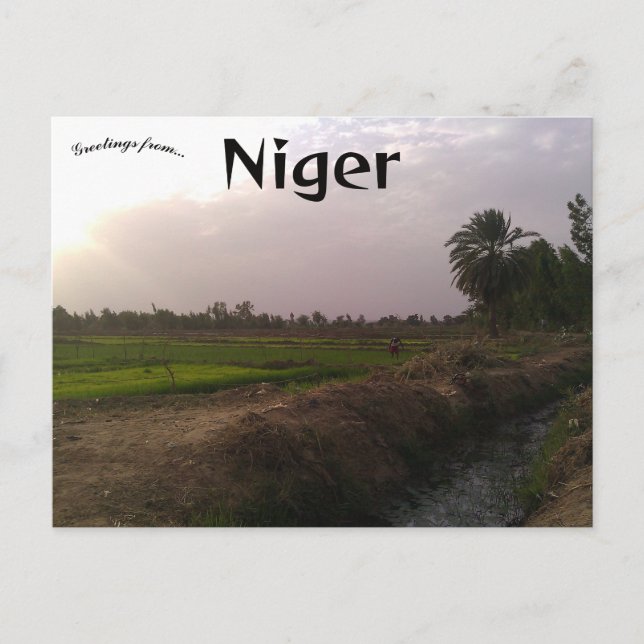 Niamey Niger Postcard (Front)