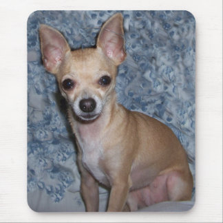 nibblesportrait mouse pad