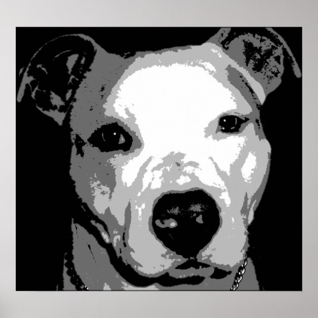 Nibs the Pit Bull Poster (Front)