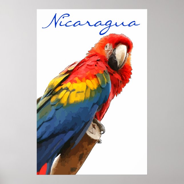 Nicaragua Scarlet Macaw Poster (Front)