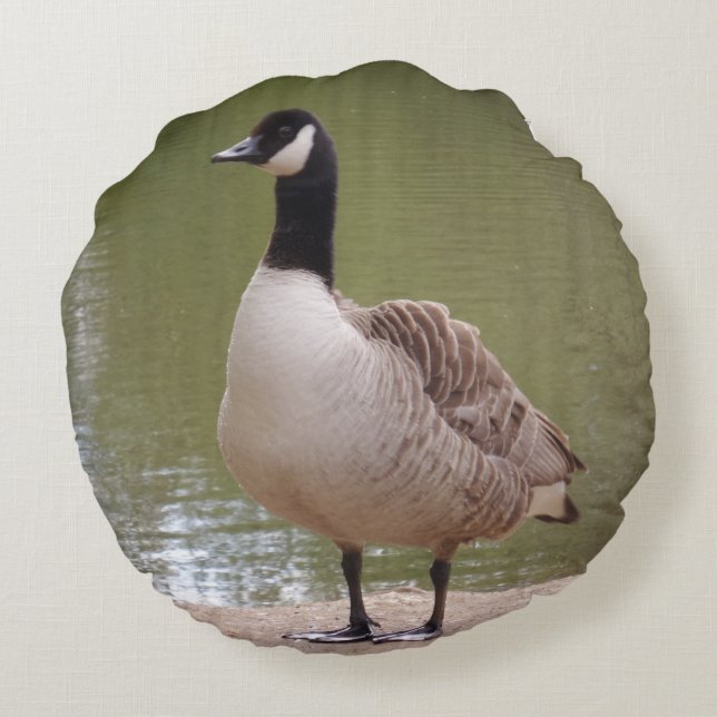 Nice Bird Round Pillow (Back)