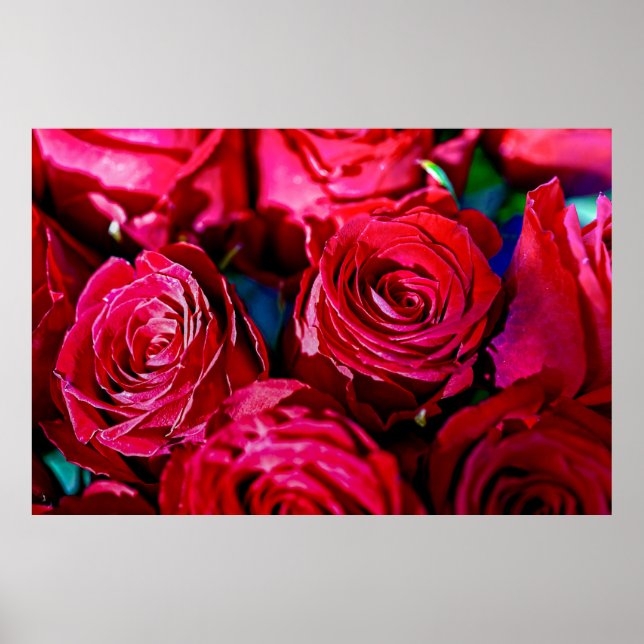 Nice Bunch Of Red Roses Poster (Front)