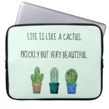 Nice cactus phrase with three cactuses
