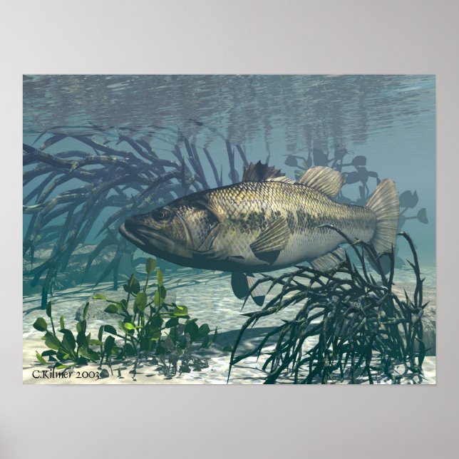 Nice Catch Poster (Front)