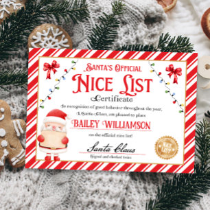 Nice Certificate from Santa Approved Checked Twice Invitation