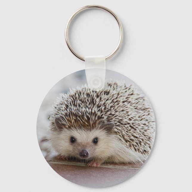 Nice hedgehog photo keychain (Front)