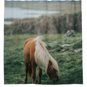 NICE HORSE
