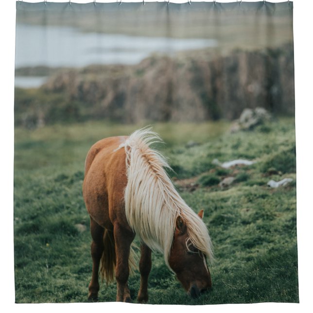 NICE HORSE (Front)