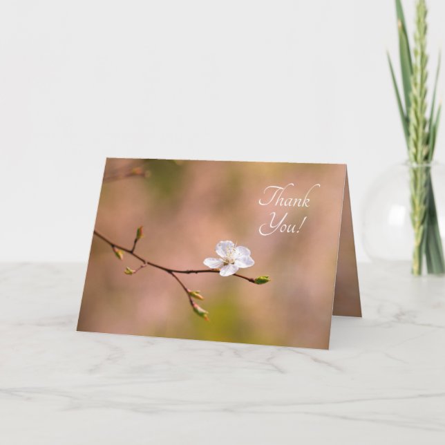 Nice Japanese Apricot Flower Thank You Card (Front)