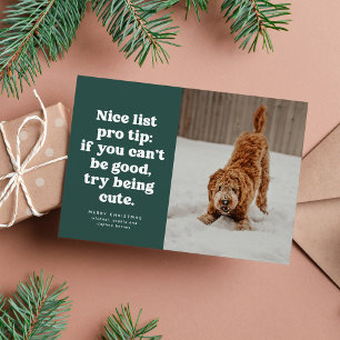 Nice list funny cute green pet photo Christmas Holiday Card
