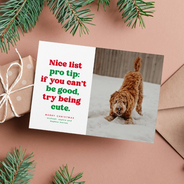Nice list funny cute red green photo Christmas Holiday Card (Creator Uploaded)